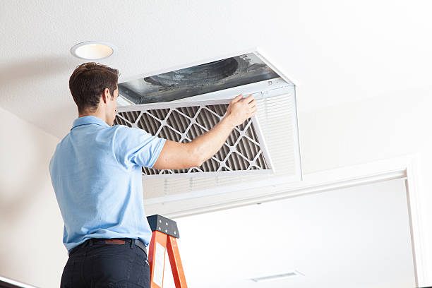 Best HVAC Retrofitting and Upgrading in Palm Harbor, FL